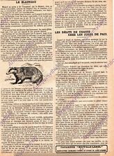 1927 badger animal d'occasion  Expédié en Belgium