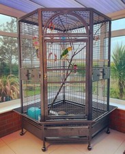 corner bird cage for sale corner bird cage for sale HOLYHEAD