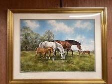 Watercolour horses foals for sale  BERKELEY