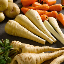 Organic parsnip tender for sale  SALISBURY