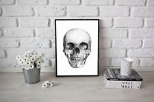 Human skull vintage for sale  LONDON