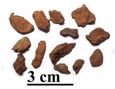 Rare iron meteorite for sale  Colorado Springs