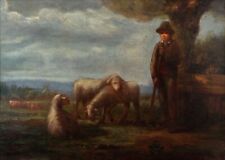 Young shepherd sheep for sale  LEATHERHEAD