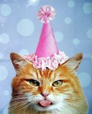 Imagen de etiqueta comestible para fiesta de cumpleaños de gato gatito, imagen personalizada de 1/4 hoja de pastel segunda mano  Embacar hacia Argentina