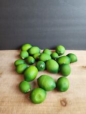 Limes realistic artificial for sale  Overland Park