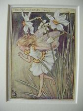 Vtg flower fairies for sale  TELFORD