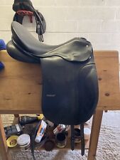 Passier corona dressage for sale  SHAFTESBURY