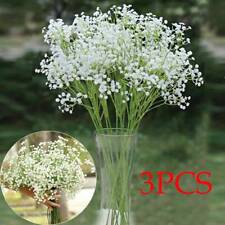 babys breath for sale  Shipping to Ireland
