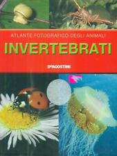 Invertebrati aa.vv. agostini usato  Italia