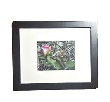 Framed matted fallen for sale  Youngstown