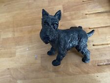 scottish terrier for sale  HUNSTANTON