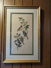 Vintage framed bird for sale  North Adams