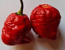 peperoncini rossi usato  Verrayes