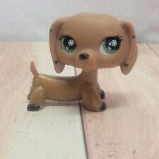 2006 hasbro littlest for sale  Stanfield