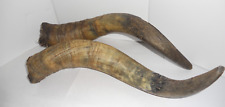 Set of TWO: 18" Curved Kudu African Animal Horns for sale  Shipping to South Africa
