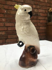 cockatiel bird for sale  COVENTRY