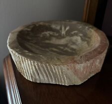 Petrified wood fossil for sale  Albuquerque