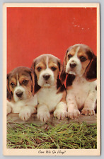 Postcard three cute for sale  Norman