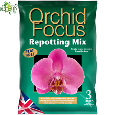 Growth technology orchid for sale  BISHOP'S STORTFORD