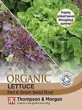 Lettuce seeds vegetable for sale  IPSWICH