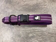 Purple dog collar for sale  IPSWICH