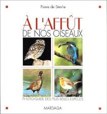 Affut oiseaux d'occasion  France