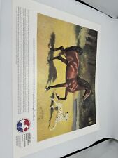 American saddlebred stallion for sale  Brandenburg