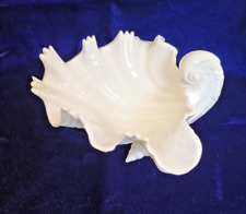 Royal worcester shell for sale  Sioux Falls