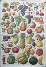 Cavallini vintage fruit for sale  MILTON KEYNES