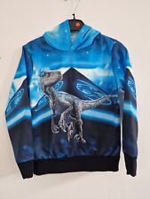 Dinosaurier dino pullover gebraucht kaufen  Ostrach