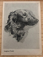 Postkarte hund dackel gebraucht kaufen  Köln