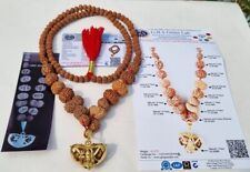 NAJRZADSZE DUŻE KORALIKI JAVA SIDDHA MALA 1 do 14 MUKHI RUDRAKSHA RUDRAKSH CERTYFIKOWANE na sprzedaż  Wysyłka do Poland