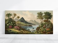 Hawaii chromolithographic pain for sale  New York