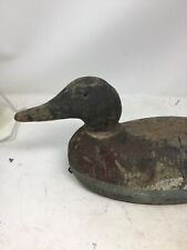 mallard duck mallard for sale  Shipping to Ireland