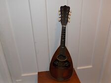 Vintage washburn string for sale  Owego