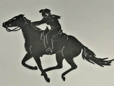 Metal decal cowgirl for sale  Anderson