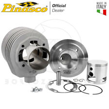 Pinasco kit gruppo usato  Italia