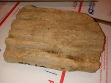 large wood petrified piece for sale  Pine Bluff