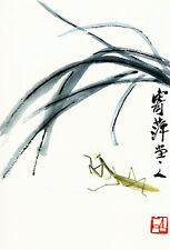Praying mantis15x22 chinese for sale  Cambria