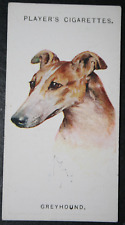 Greyhound vintage 1929 for sale  DERBY