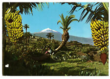 Postal con foto rara de Tenerife, España, vista panorámica del Teide segunda mano  Embacar hacia Argentina