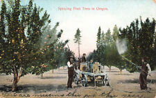 Vintage oregon agricultural for sale  Maple Grove