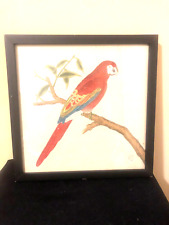 Red parrot print for sale  Miami