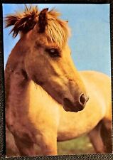 Pferdepostkarte pferde pferdep gebraucht kaufen  Sondershausen