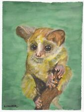 Bush baby limited for sale  RINGWOOD