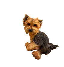 Country artists yorkie for sale  Greeneville