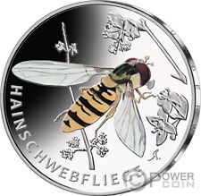 Greco hoverfly meraviglioso usato  Ciampino