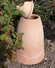 Terracotta rhubarb forcer for sale  ROCHESTER