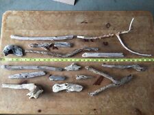 Genuine driftwood pieces for sale  WEYMOUTH