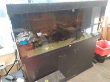 fish tank for sale  CLACTON-ON-SEA